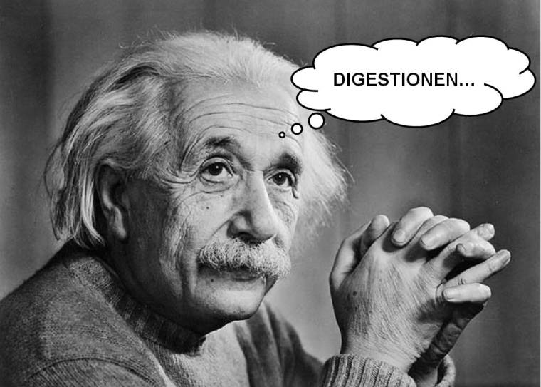 DIGESTIONE-la-certezza-empirica-di-Albert-Einstein